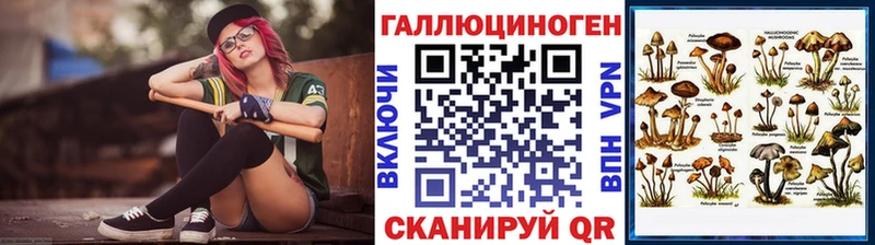 где купить   Кочубеевское  Псилоцибиновые грибы мицелий 